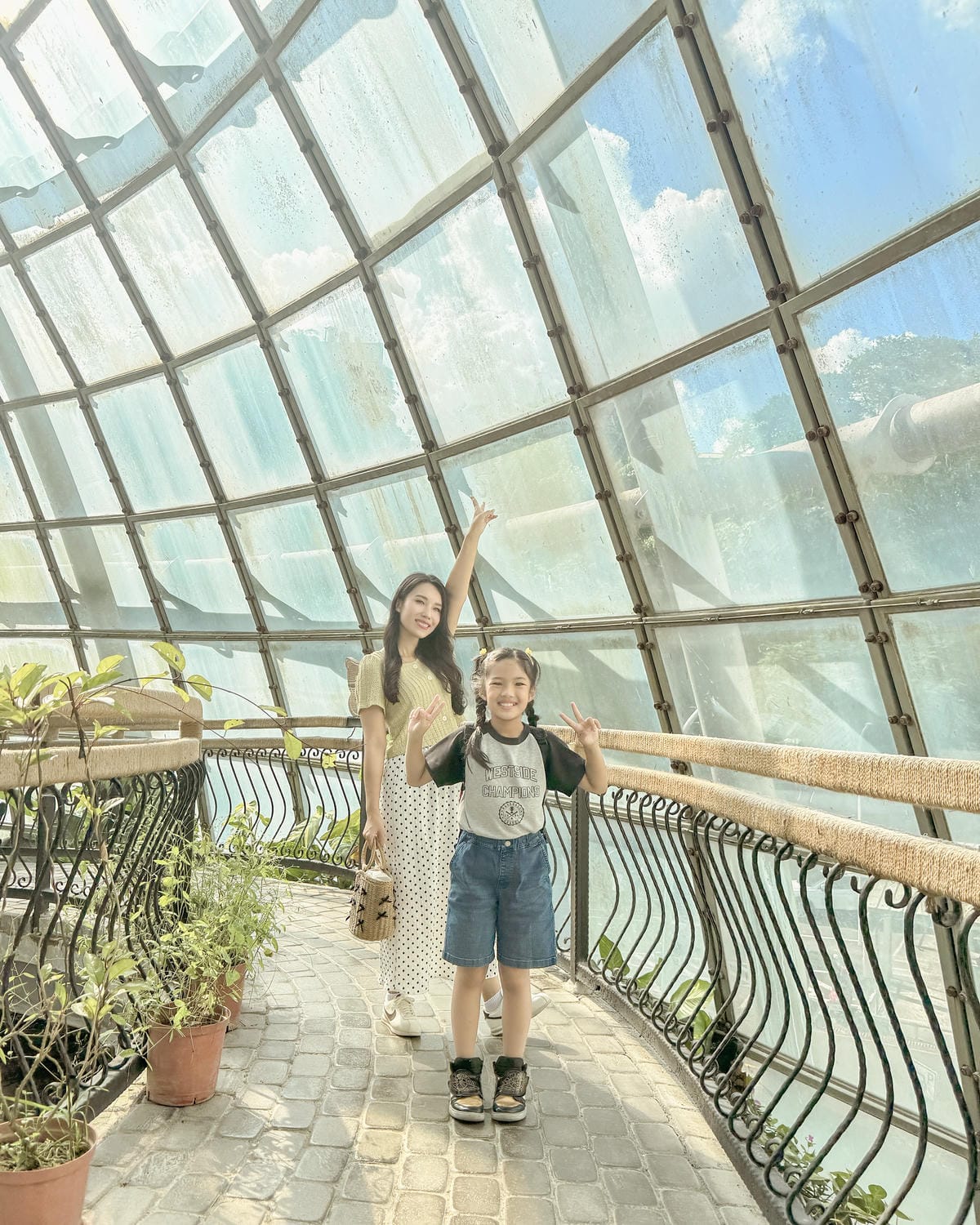 嘉義室內親子景點 嘉大昆蟲館 各式昆蟲標本 溫室蝴蝶園打卡必拍34.jpg 嘉義室內親子景點 嘉大昆蟲館 各式昆蟲標本 溫室蝴蝶園打卡必拍34.jpg