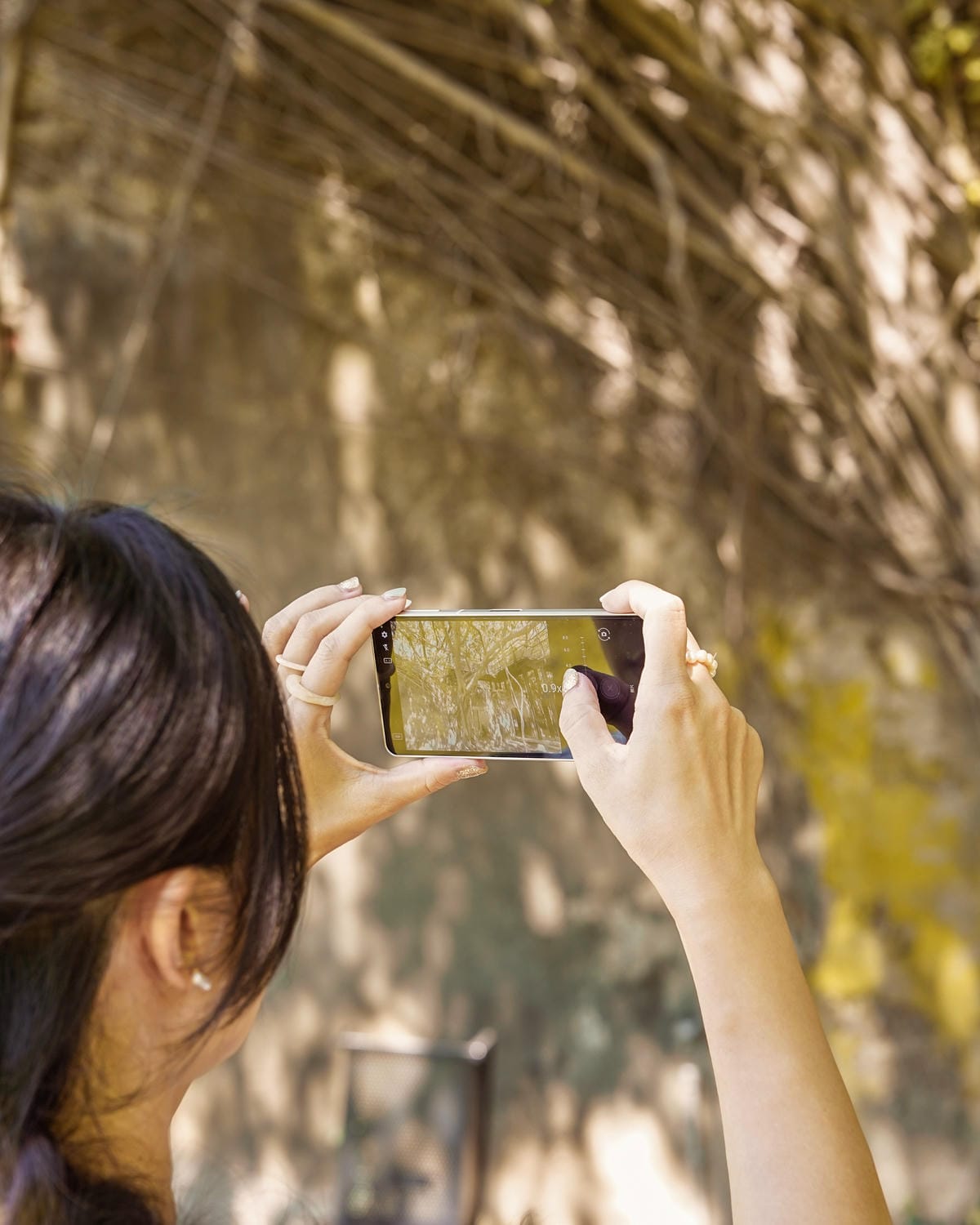 輕手機推薦SHARP AQUOS sense8開箱分享 自拍隨意點 防水防摔 日常拍美照不失手13.jpg 輕手機推薦SHARP AQUOS sense8開箱分享 自拍隨意點 防水防摔 日常拍美照不失手13.jpg