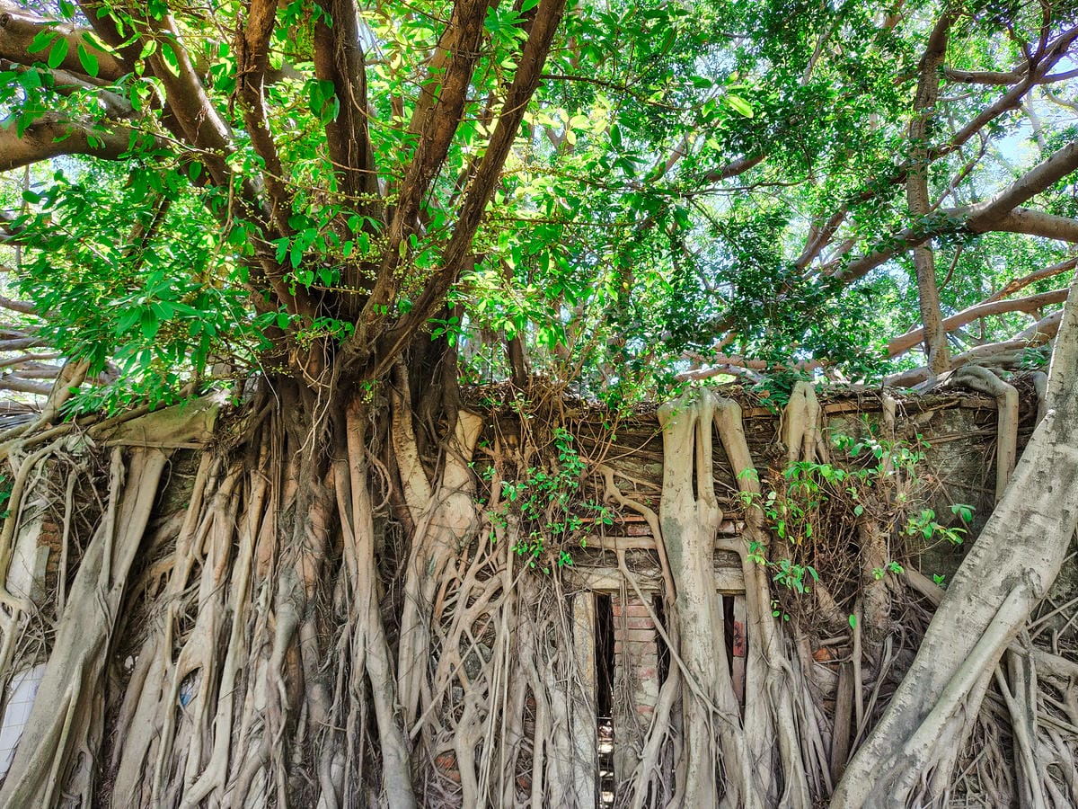 輕手機推薦SHARP AQUOS sense8開箱分享 自拍隨意點 防水防摔 日常拍美照不失手24.jpg 輕手機推薦SHARP AQUOS sense8開箱分享 自拍隨意點 防水防摔 日常拍美照不失手24.jpg