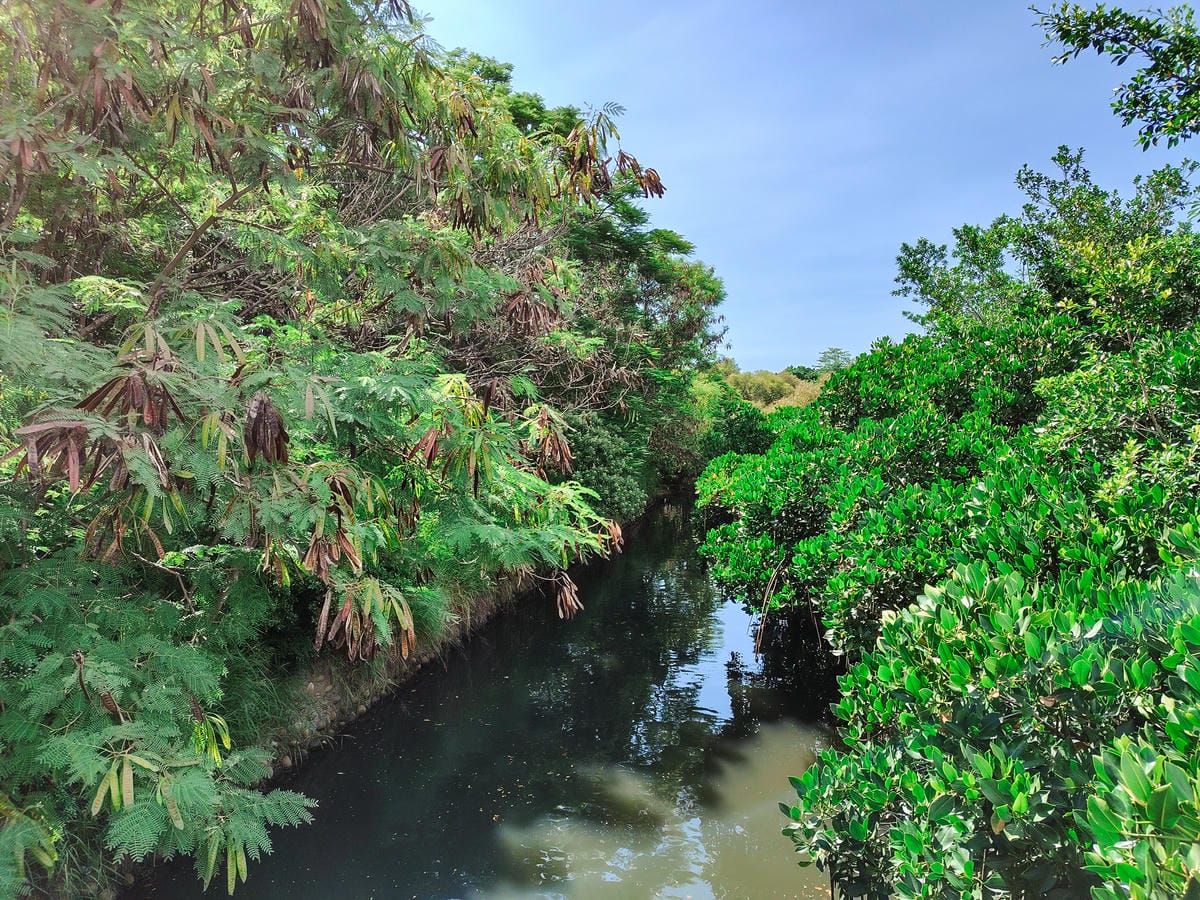 輕手機推薦SHARP AQUOS sense8開箱分享 自拍隨意點 防水防摔 日常拍美照不失手29.jpg 輕手機推薦SHARP AQUOS sense8開箱分享 自拍隨意點 防水防摔 日常拍美照不失手29.jpg