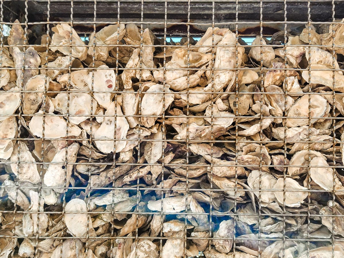 輕手機推薦SHARP AQUOS sense8開箱分享 自拍隨意點 防水防摔 日常拍美照不失手32.jpg 輕手機推薦SHARP AQUOS sense8開箱分享 自拍隨意點 防水防摔 日常拍美照不失手32.jpg