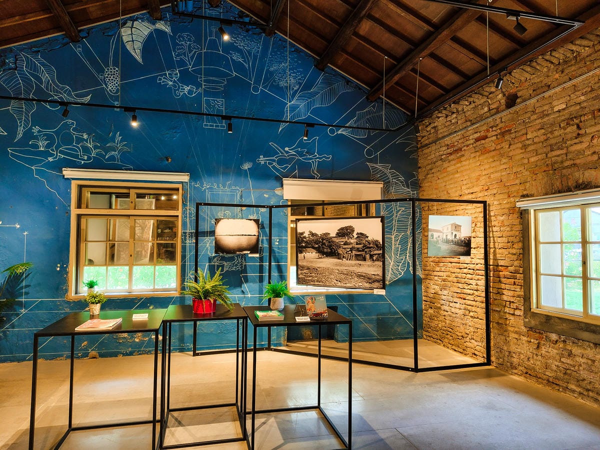 輕手機推薦SHARP AQUOS sense8開箱分享 自拍隨意點 防水防摔 日常拍美照不失手25.jpg 輕手機推薦SHARP AQUOS sense8開箱分享 自拍隨意點 防水防摔 日常拍美照不失手25.jpg