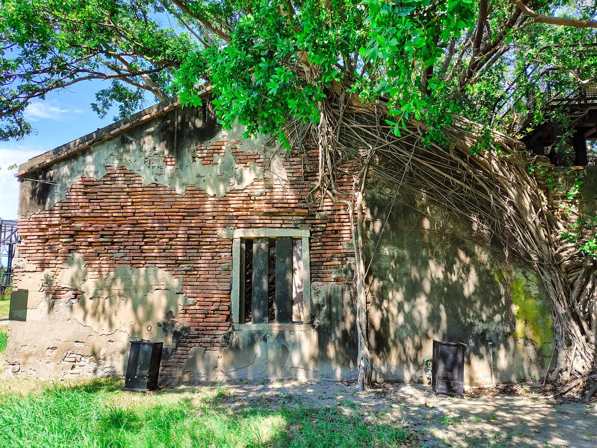 輕手機推薦SHARP AQUOS sense8開箱分享 自拍隨意點 防水防摔 日常拍美照不失手23.jpg 輕手機推薦SHARP AQUOS sense8開箱分享 自拍隨意點 防水防摔 日常拍美照不失手23.jpg