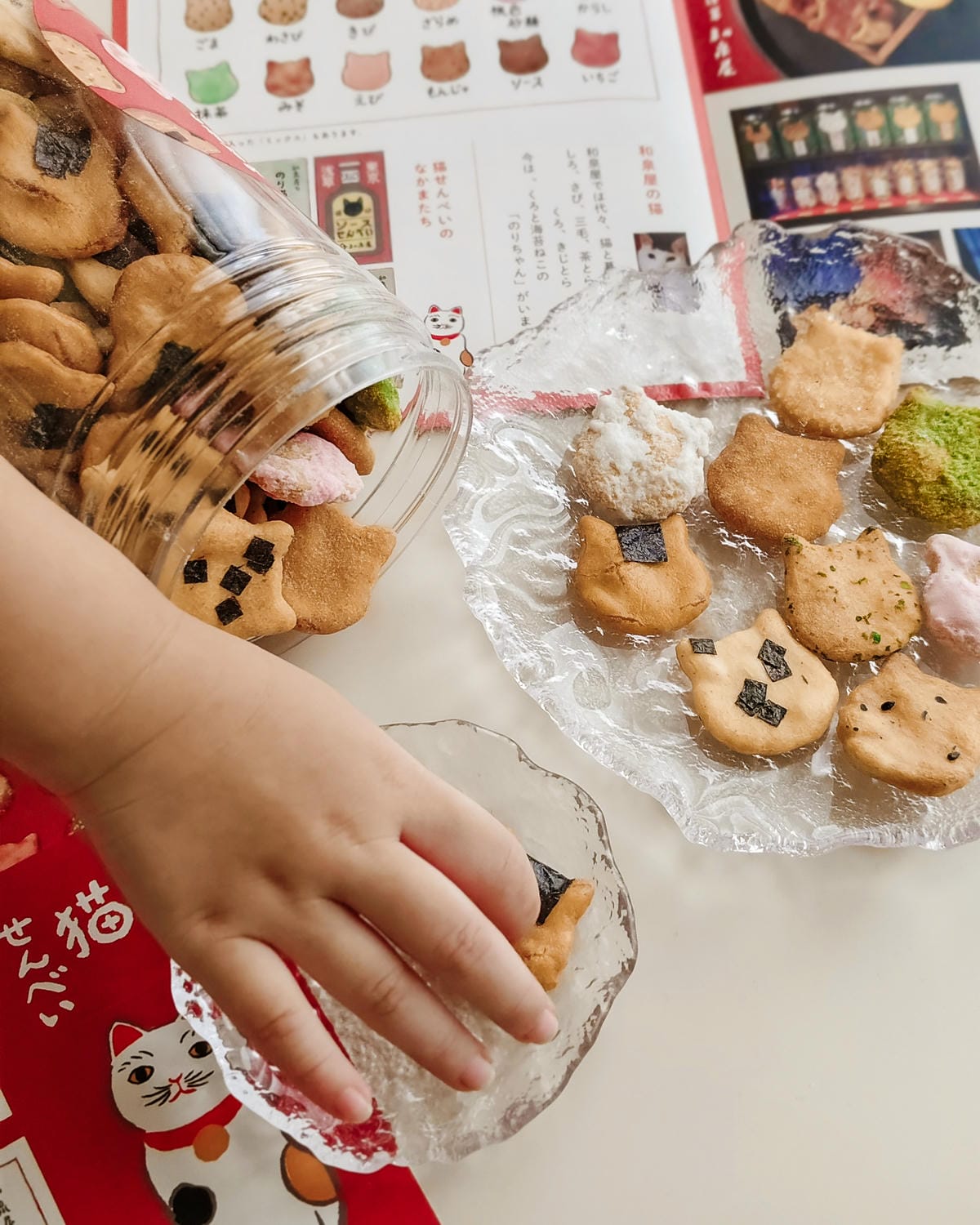 東京淺草伴手禮 和泉屋 貓咪仙貝 口味多造型超療癒9.jpg 東京淺草伴手禮 和泉屋 貓咪仙貝 口味多造型超療癒9.jpg