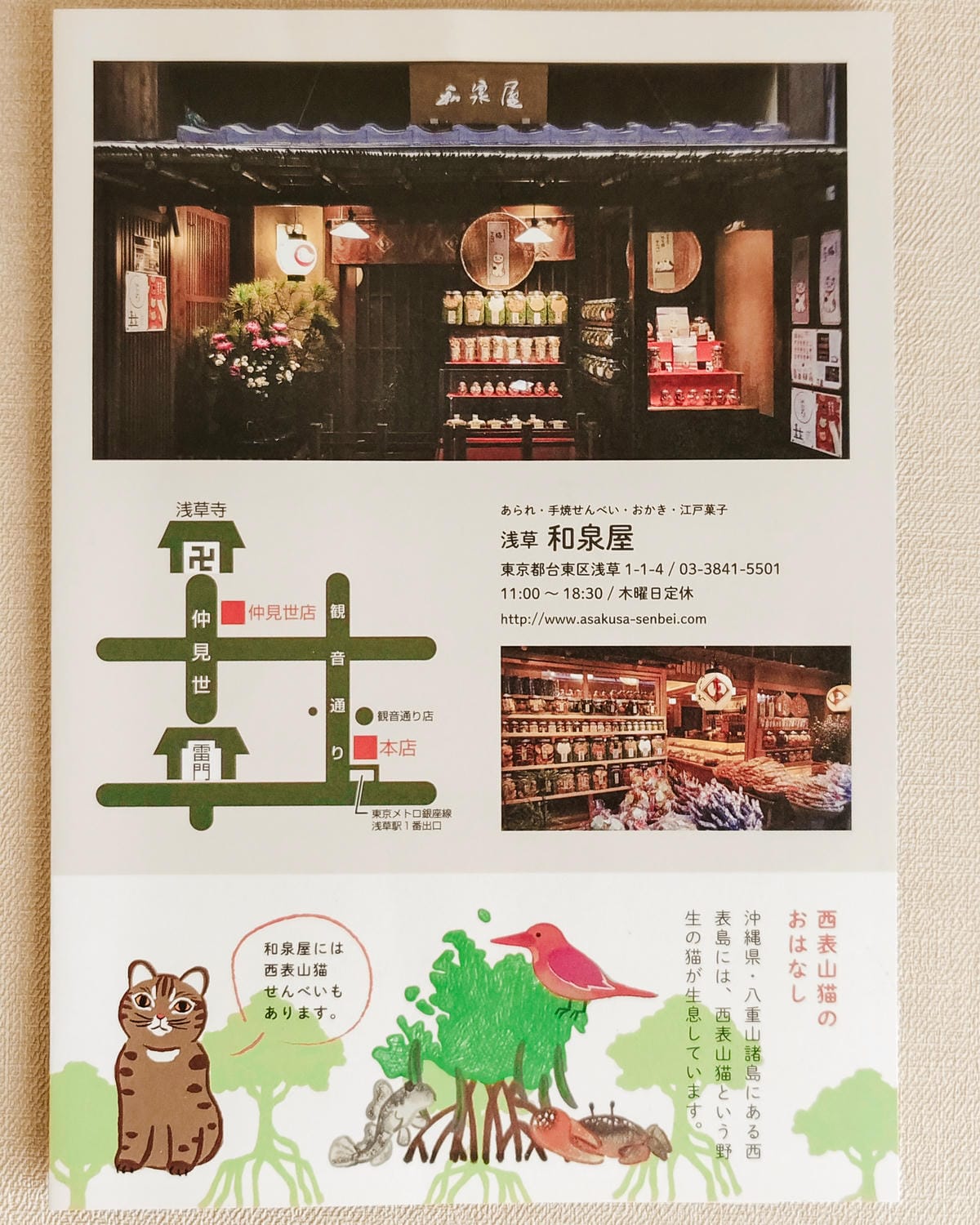 東京淺草伴手禮 和泉屋 貓咪仙貝 口味多造型超療癒3.jpg 東京淺草伴手禮 和泉屋 貓咪仙貝 口味多造型超療癒3.jpg