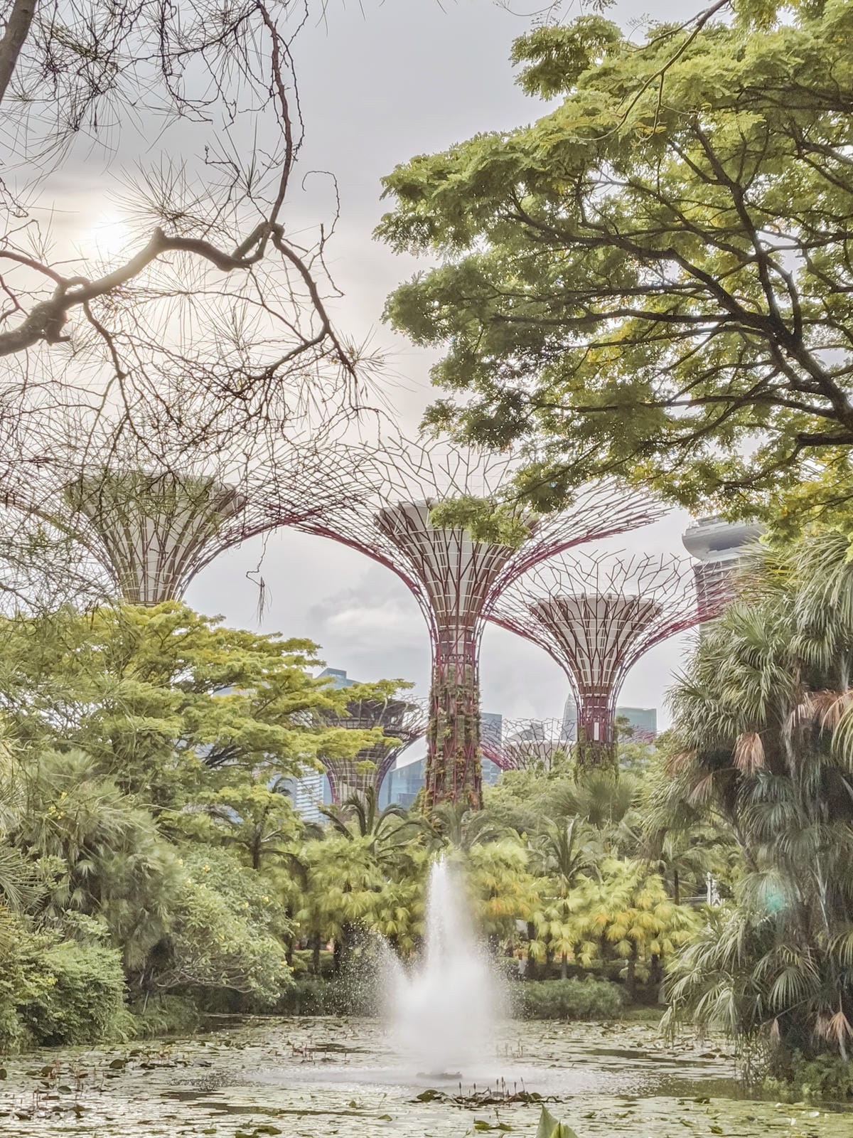 新加坡一日遊 直接蒐集6個免費拍照特色景點18.jpg 新加坡一日遊 直接蒐集6個免費拍照特色景點18.jpg