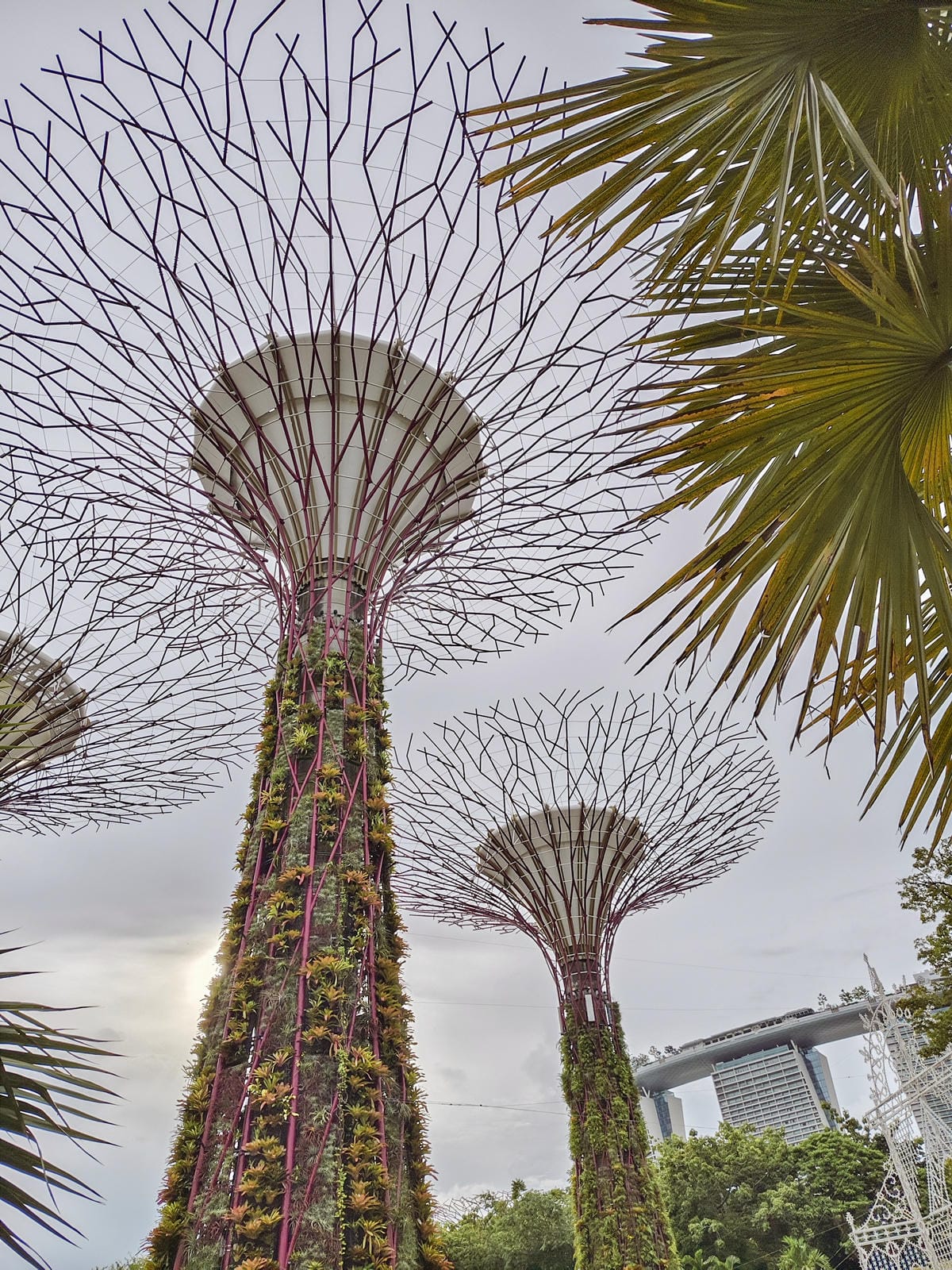新加坡一日遊 直接蒐集6個免費拍照特色景點20.jpg 新加坡一日遊 直接蒐集6個免費拍照特色景點20.jpg