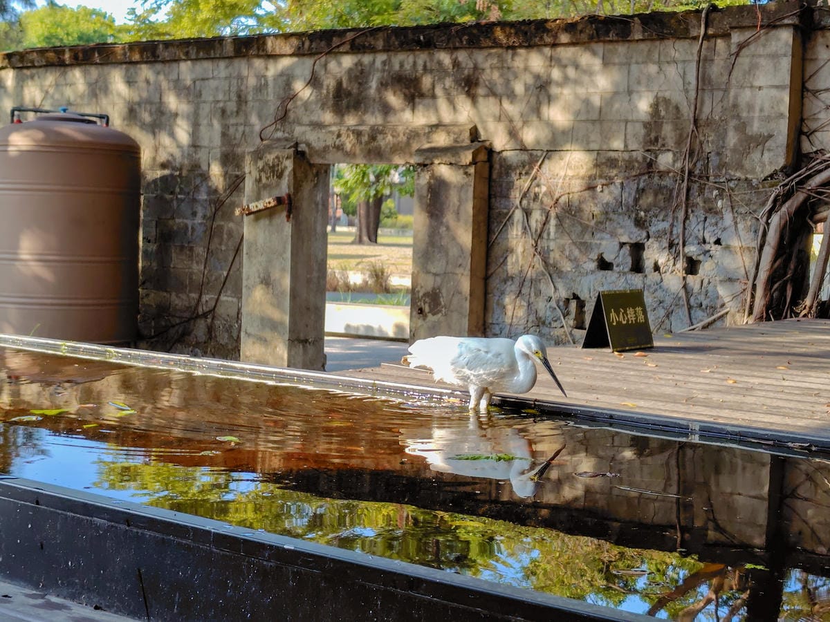 SHARP AQUOS sense9輕手機推薦 電池續航力超長待機 防水防摔日常隨手拍都美 超輕量日系手機開箱32.jpg SHARP AQUOS sense9輕手機推薦 電池續航力超長待機 防水防摔日常隨手拍都美 超輕量日系手機開箱32.jpg