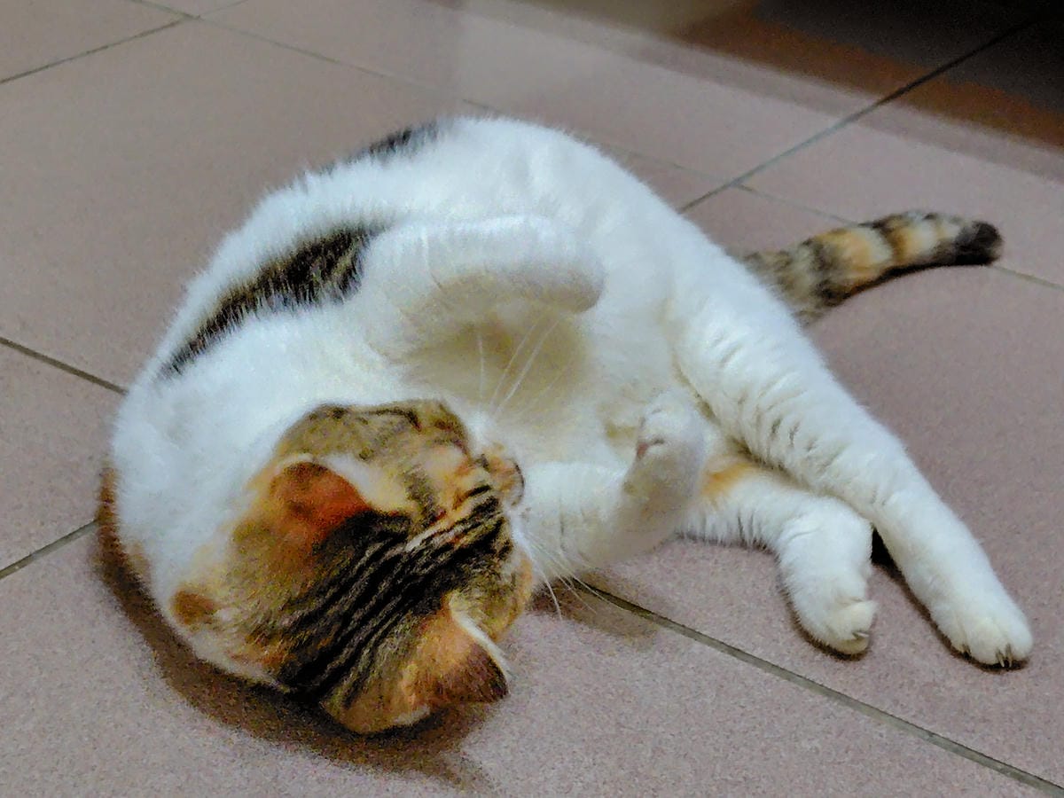 SHARP AQUOS sense9輕手機推薦 電池續航力超長待機 防水防摔日常隨手拍都美 超輕量日系手機開箱20.jpg SHARP AQUOS sense9輕手機推薦 電池續航力超長待機 防水防摔日常隨手拍都美 超輕量日系手機開箱20.jpg