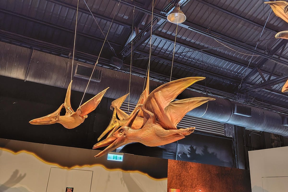 SHARP AQUOS sense9輕手機推薦 電池續航力超長待機 防水防摔日常隨手拍都美 超輕量日系手機開箱15.jpg SHARP AQUOS sense9輕手機推薦 電池續航力超長待機 防水防摔日常隨手拍都美 超輕量日系手機開箱15.jpg