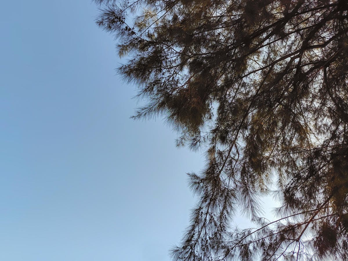 SHARP AQUOS sense9輕手機推薦 電池續航力超長待機 防水防摔日常隨手拍都美 超輕量日系手機開箱29.jpg SHARP AQUOS sense9輕手機推薦 電池續航力超長待機 防水防摔日常隨手拍都美 超輕量日系手機開箱29.jpg