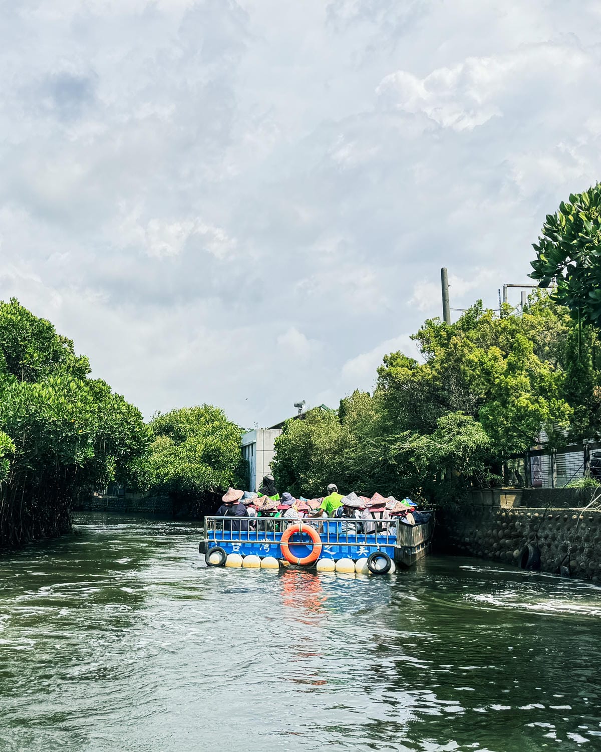 台南景點 綠色隧道 搭乘四草台江觀光船 探索台版亞馬遜河8.jpg