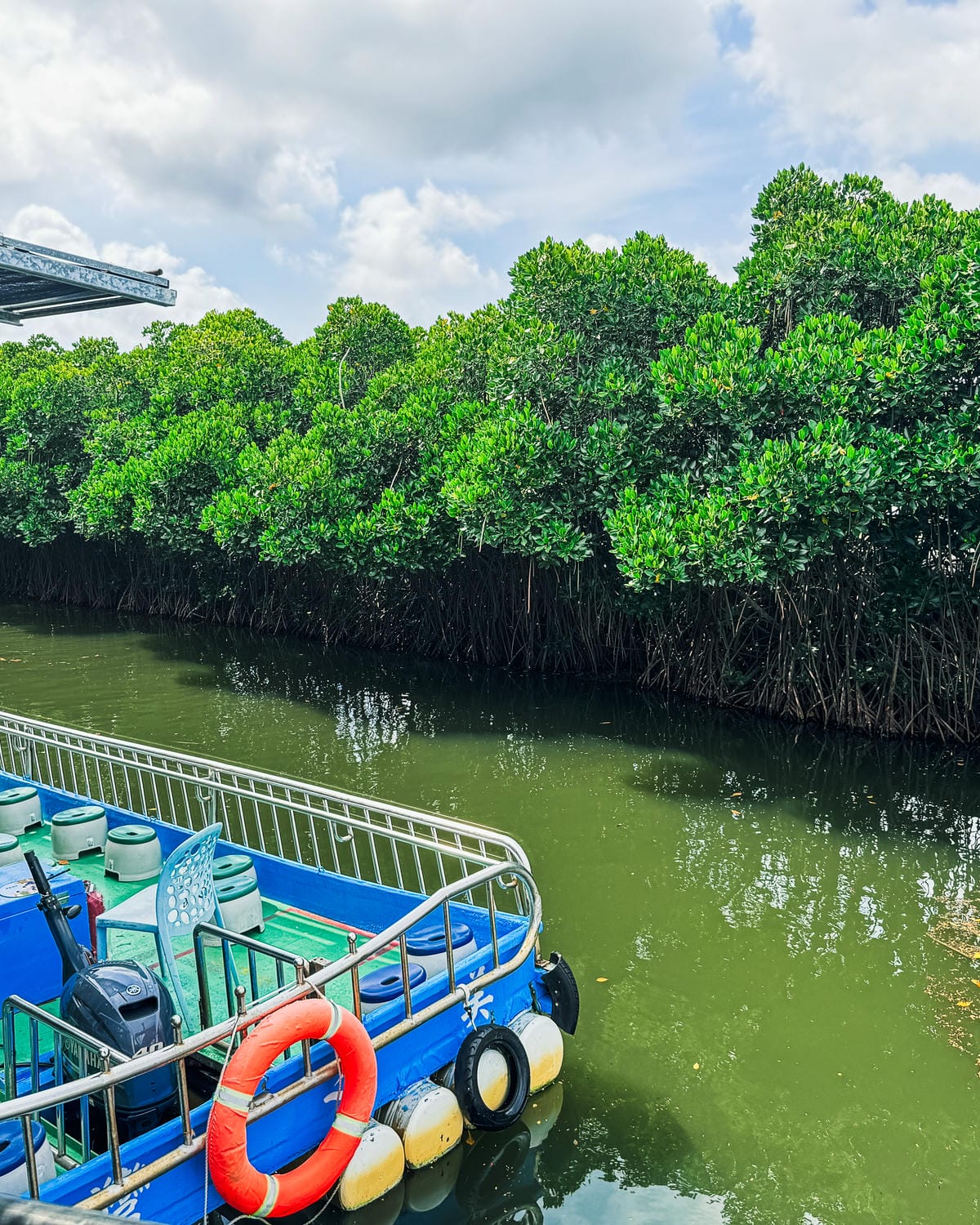 台南景點 綠色隧道 搭乘四草台江觀光船 探索台版亞馬遜河25.jpg