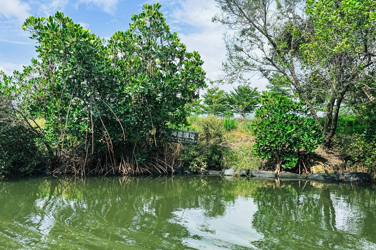 台南景點 綠色隧道 搭乘四草台江觀光船 探索台版亞馬遜河24.jpg