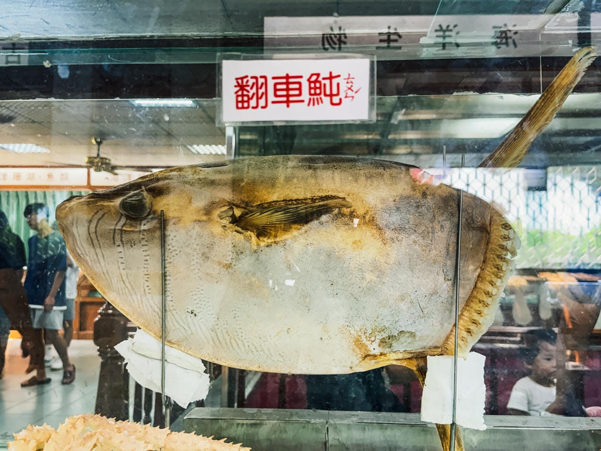 台南景點 綠色隧道 搭乘四草台江觀光船 探索台版亞馬遜河29.jpg