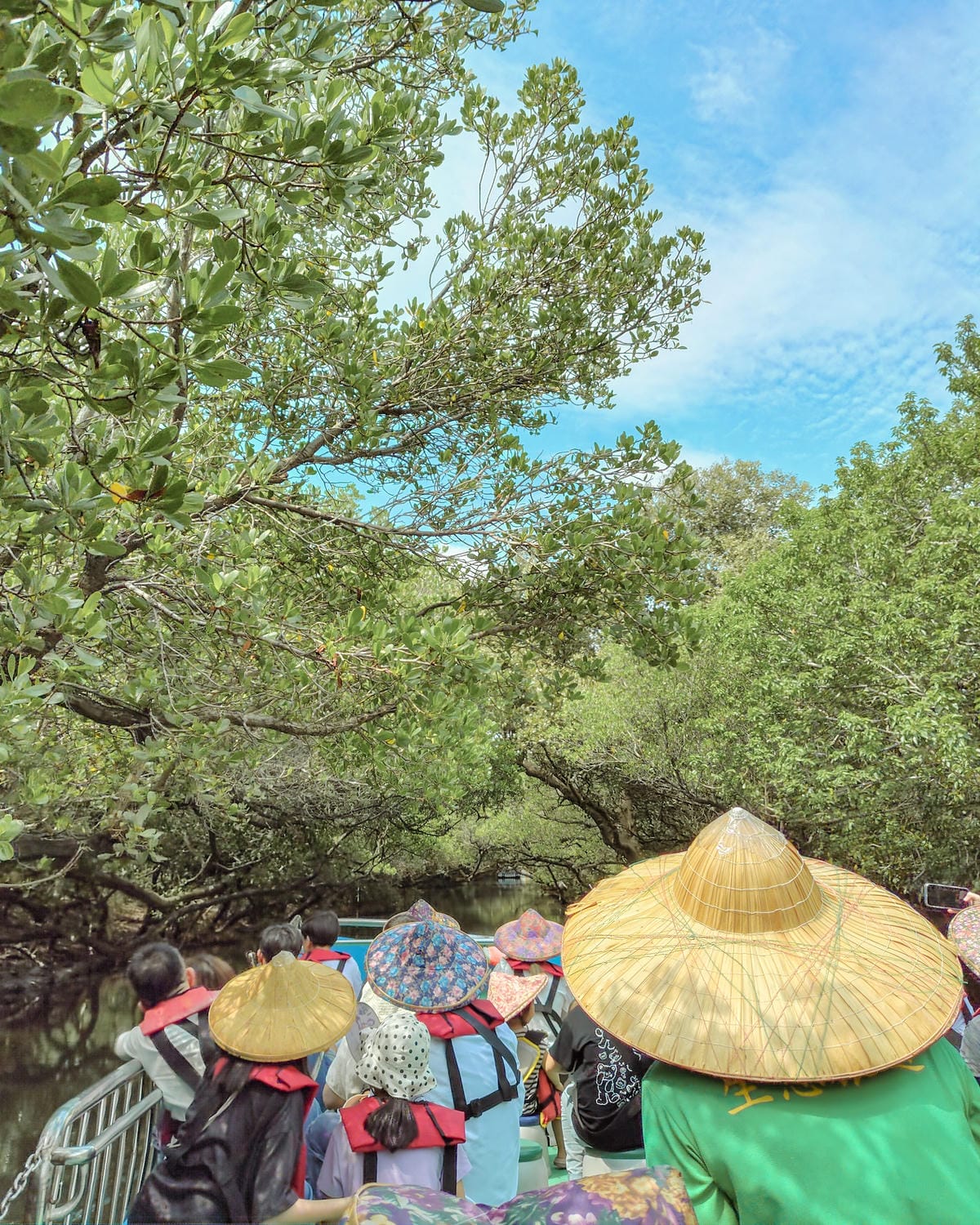 台南景點 綠色隧道 搭乘四草台江觀光船 探索台版亞馬遜河7.jpg