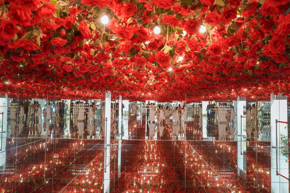 嘉義親子景點 蓋婭莊園 手作課程 換裝體驗 純白希臘風好玩好拍玩一天 克洛絲的花園用餐必點42.jpg 嘉義親子景點 蓋婭莊園 手作課程 換裝體驗 純白希臘風好玩好拍玩一天 克洛絲的花園用餐必點42.jpg