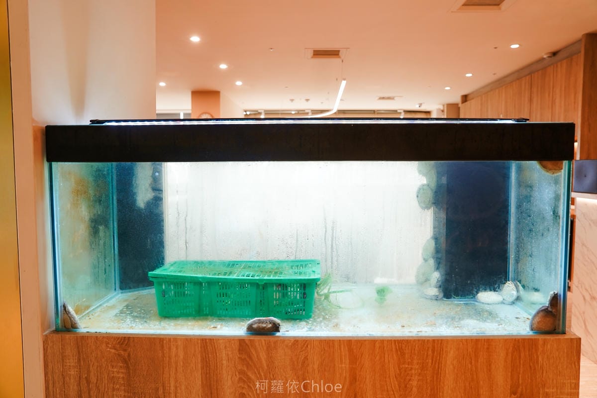 台南頂級無菜單鐵板燒推薦 明水然・樂台南中山店 龍蝦 A5和牛 干貝吃得到 家庭聚餐 慶生 約會餐廳首選7.jpg 台南頂級無菜單鐵板燒推薦 明水然・樂台南中山店 龍蝦 A5和牛 干貝吃得到 家庭聚餐 慶生 約會餐廳首選7.jpg