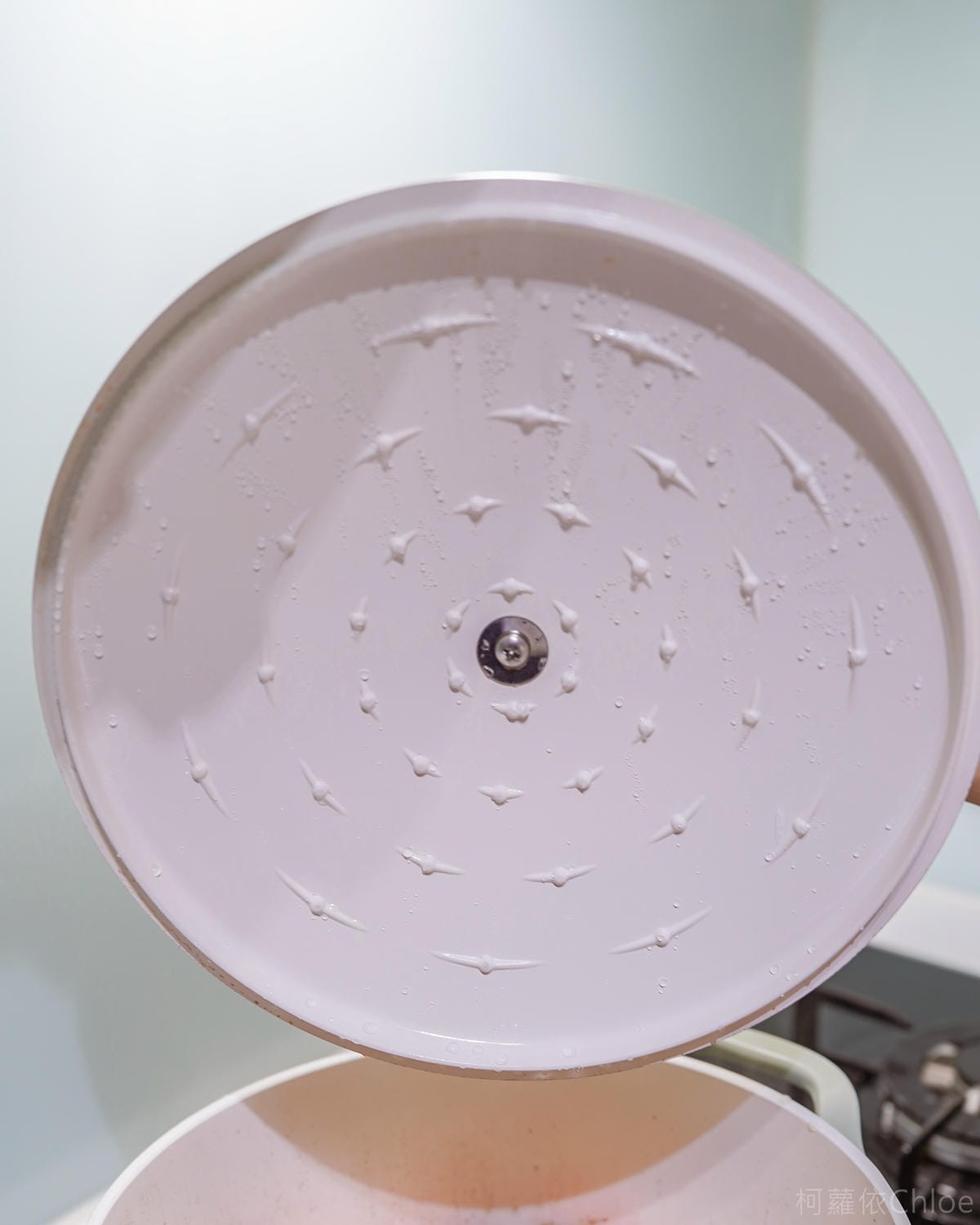 法國特福Tefal Air陶瓷鑄造雙耳湯鍋 輕巧不沾鍋 享受一鍋到底 無水料理的美味 家常食譜分享41.jpg 法國特福Tefal Air陶瓷鑄造雙耳湯鍋 輕巧不沾鍋 享受一鍋到底 無水料理的美味 家常食譜分享41.jpg