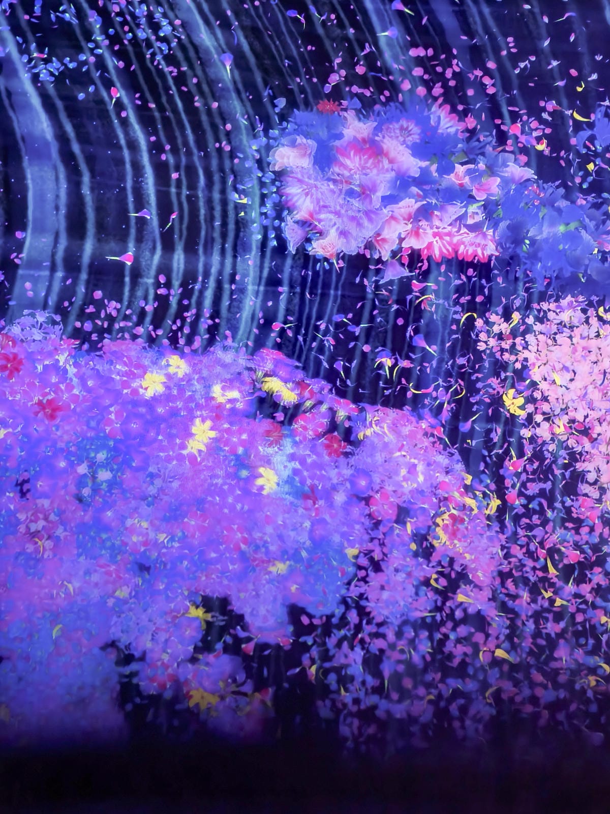 高雄展覽 teamLab共創!未來園高雄 時大亮點必拍 2025暑假必訪的夢幻藝術展!3.jpg 高雄展覽 teamLab共創!未來園高雄 時大亮點必拍 2025暑假必訪的夢幻藝術展!3.jpg