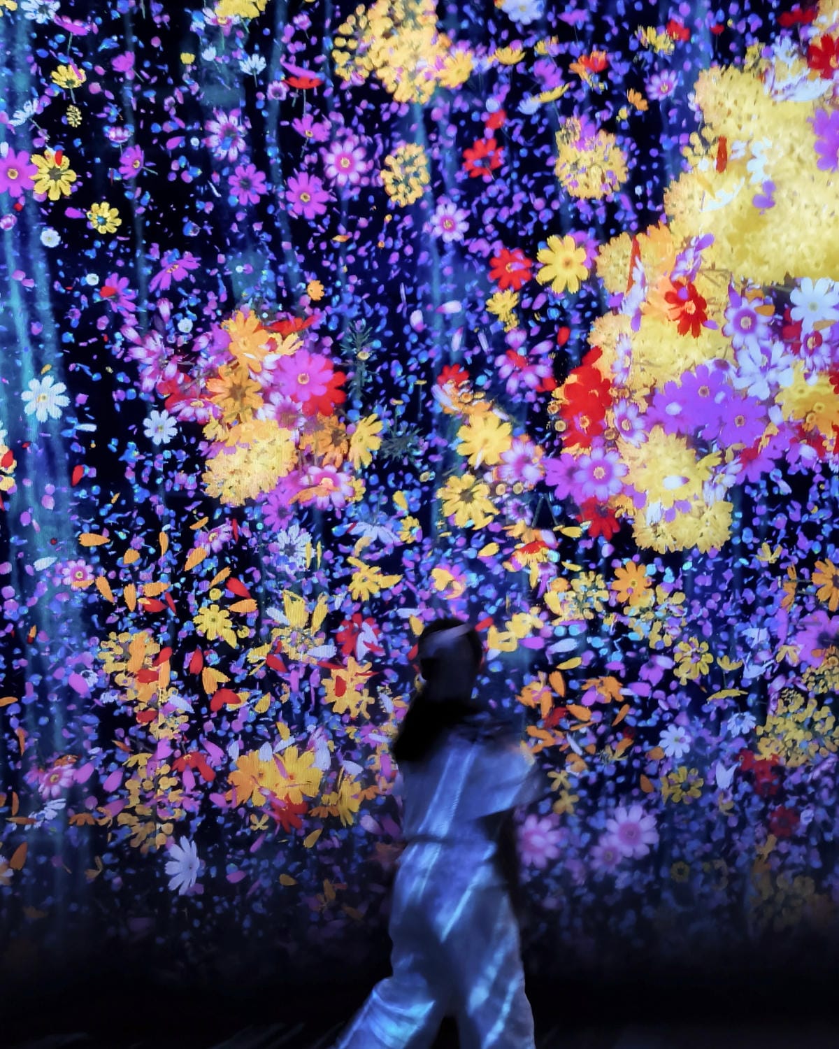 高雄展覽 teamLab共創!未來園高雄 時大亮點必拍 2025暑假必訪的夢幻藝術展!5.jpg 高雄展覽 teamLab共創!未來園高雄 時大亮點必拍 2025暑假必訪的夢幻藝術展!5.jpg