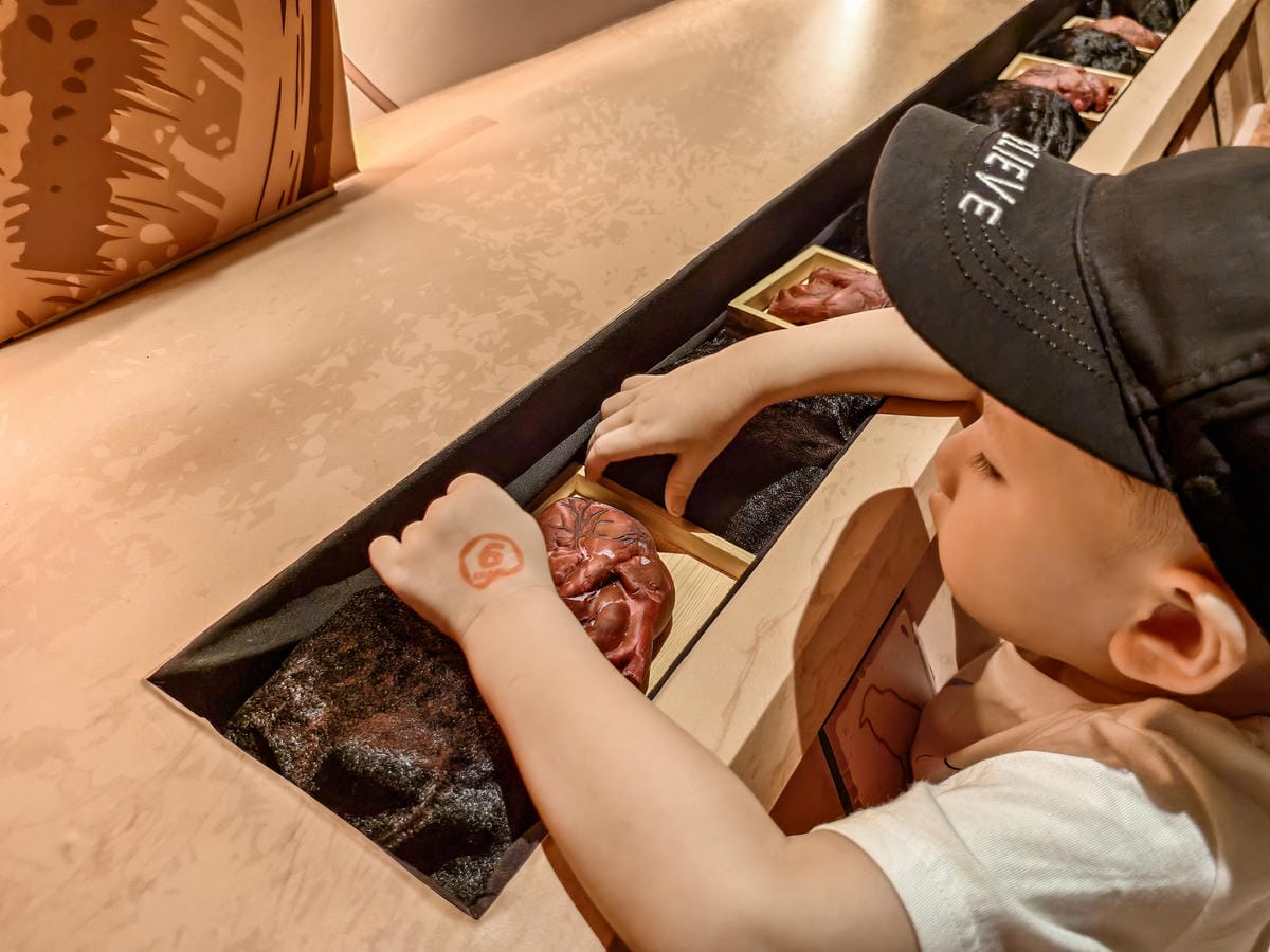 一同進入奇幻世界 《AI繪動的畫特展》高雄站 駁二藝術特區 2025暑假展覽27.jpg 一同進入奇幻世界 《AI繪動的畫特展》高雄站 駁二藝術特區 2025暑假展覽27.jpg