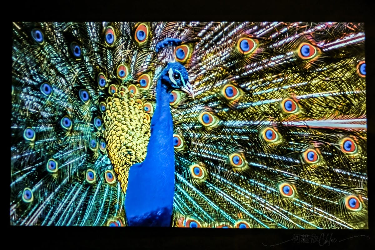 高CP值投影機推薦 Warpple LA6 派對輕劇院 看電影 聽音樂 唱歌三合一大滿足28.jpg 高CP值投影機推薦 Warpple LA6 派對輕劇院 看電影 聽音樂 唱歌三合一大滿足28.jpg