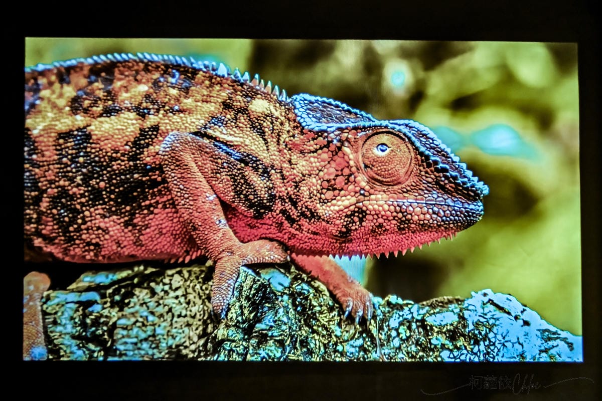 高CP值投影機推薦 Warpple LA6 派對輕劇院 看電影 聽音樂 唱歌三合一大滿足31.jpg 高CP值投影機推薦 Warpple LA6 派對輕劇院 看電影 聽音樂 唱歌三合一大滿足31.jpg