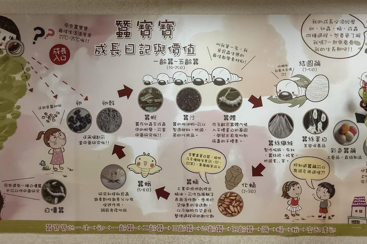 高雄時空之城 亞洲最大3D立體彩繪 免費景點超好拍8.jpg 高雄時空之城 亞洲最大3D立體彩繪 免費景點超好拍8.jpg