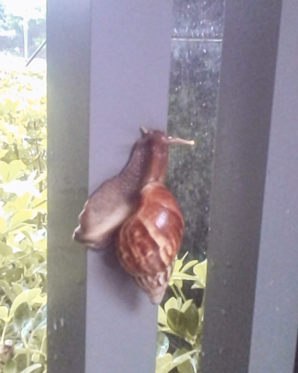 小孩相機推薦FUNY三麗鷗兒童相機兒童相機使用心得 小小攝影師養成 可愛視角紀錄生活42.jpg 小孩相機推薦FUNY三麗鷗兒童相機兒童相機使用心得 小小攝影師養成 可愛視角紀錄生活42.jpg