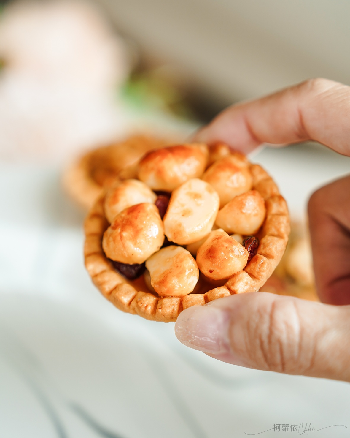 台南喜餅推薦｜鮮粹集 全新粉讚禮盒 常溫保存高質感甜點 夏威夷豆塔 布列塔尼酥餅 土鳳梨酥