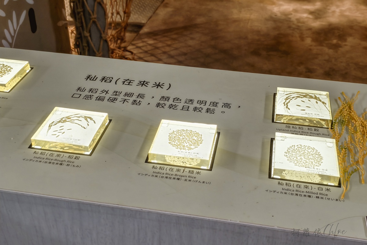 台東親子景點｜米國學校-關山鎮農會休閒旅遊中心 免門票 寓教於樂的食農教育行程