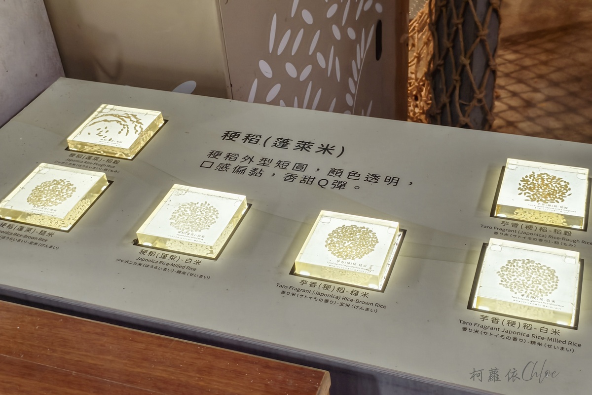 台東親子景點｜米國學校-關山鎮農會休閒旅遊中心 免門票 寓教於樂的食農教育行程