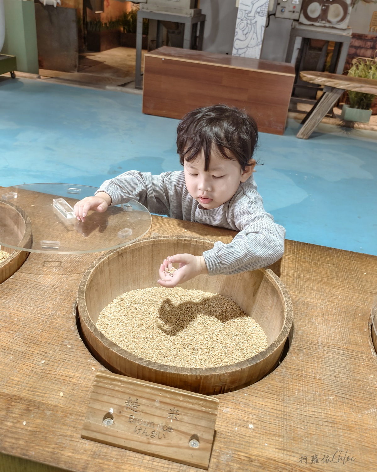 台東親子景點｜米國學校-關山鎮農會休閒旅遊中心 免門票 寓教於樂的食農教育行程