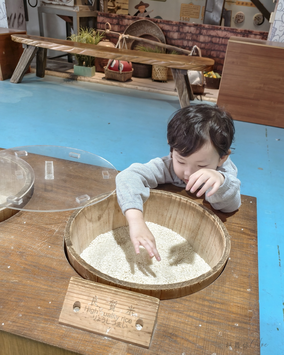 台東親子景點｜米國學校-關山鎮農會休閒旅遊中心 免門票 寓教於樂的食農教育行程