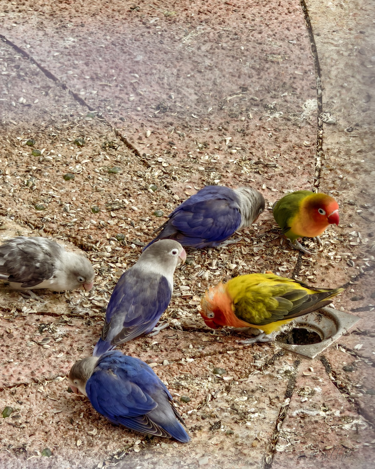 台東親子景點｜米國學校-關山鎮農會休閒旅遊中心 免門票 寓教於樂的食農教育行程