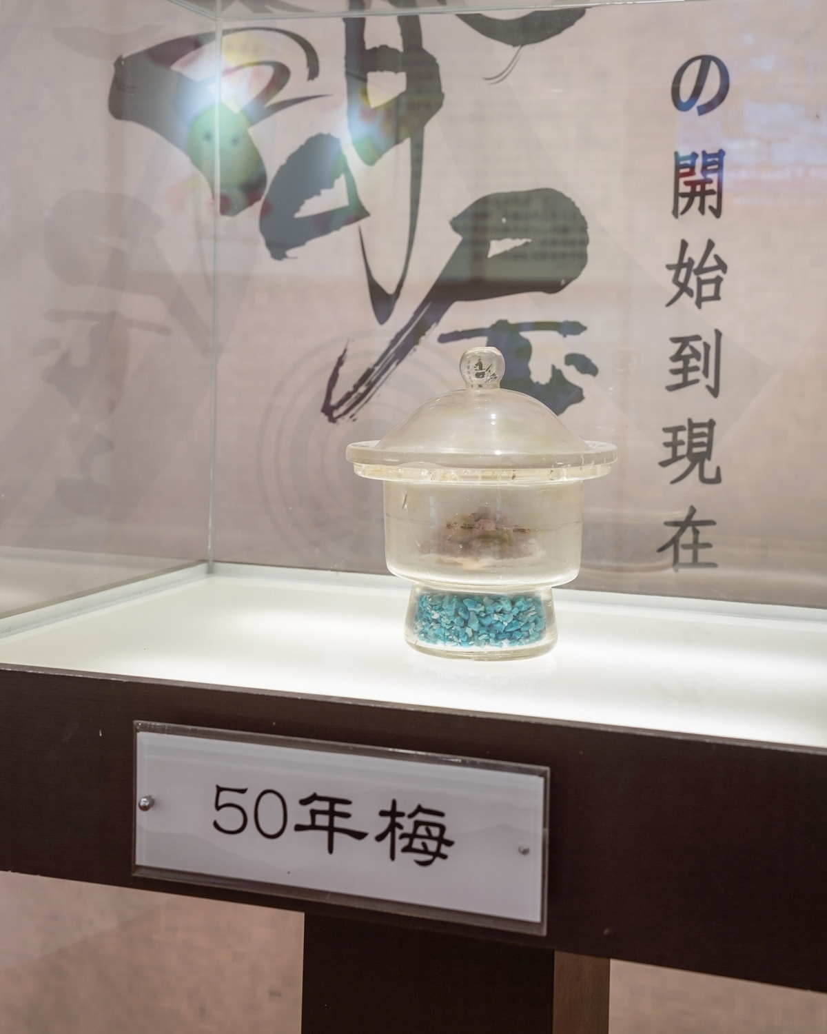 嘉義親子觀光工廠推薦|梅問屋梅子元氣館 一年四季都能玩的室內景點 梅山伴手禮 DIY手作課程與孩子釀出回憶 - 第13張圖 嘉義親子觀光工廠推薦|梅問屋梅子元氣館 一年四季都能玩的室內景點 梅山伴手禮 DIY手作課程與孩子釀出回憶