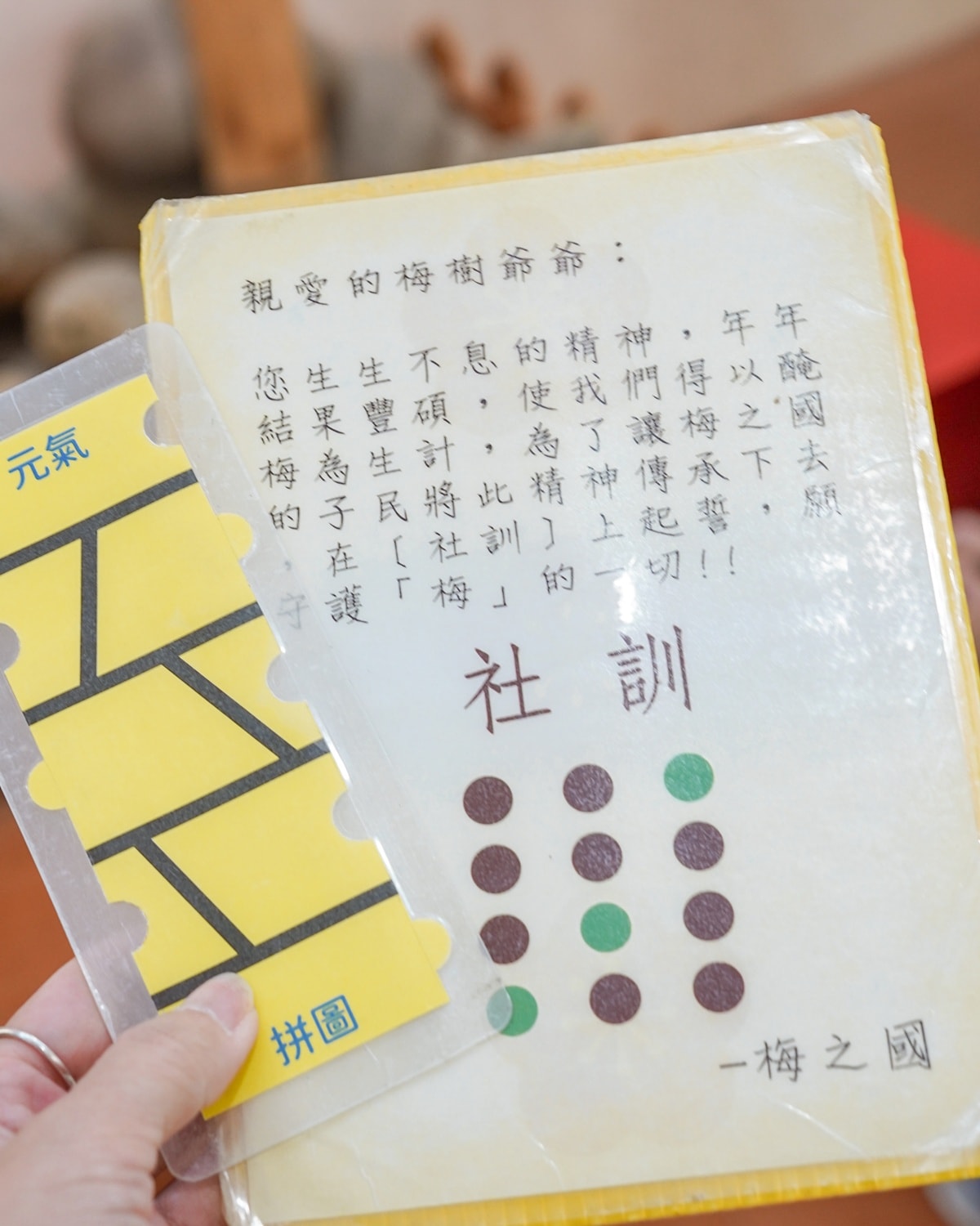 嘉義親子觀光工廠推薦|梅問屋梅子元氣館 一年四季都能玩的室內景點 梅山伴手禮 DIY手作課程與孩子釀出回憶 - 第30張圖 嘉義親子觀光工廠推薦|梅問屋梅子元氣館 一年四季都能玩的室內景點 梅山伴手禮 DIY手作課程與孩子釀出回憶