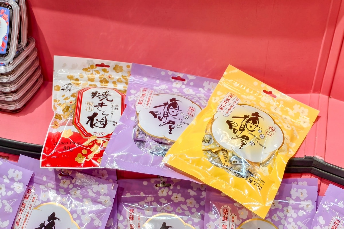 嘉義親子觀光工廠推薦|梅問屋梅子元氣館 一年四季都能玩的室內景點 梅山伴手禮 DIY手作課程與孩子釀出回憶 - 第66張圖 嘉義親子觀光工廠推薦|梅問屋梅子元氣館 一年四季都能玩的室內景點 梅山伴手禮 DIY手作課程與孩子釀出回憶