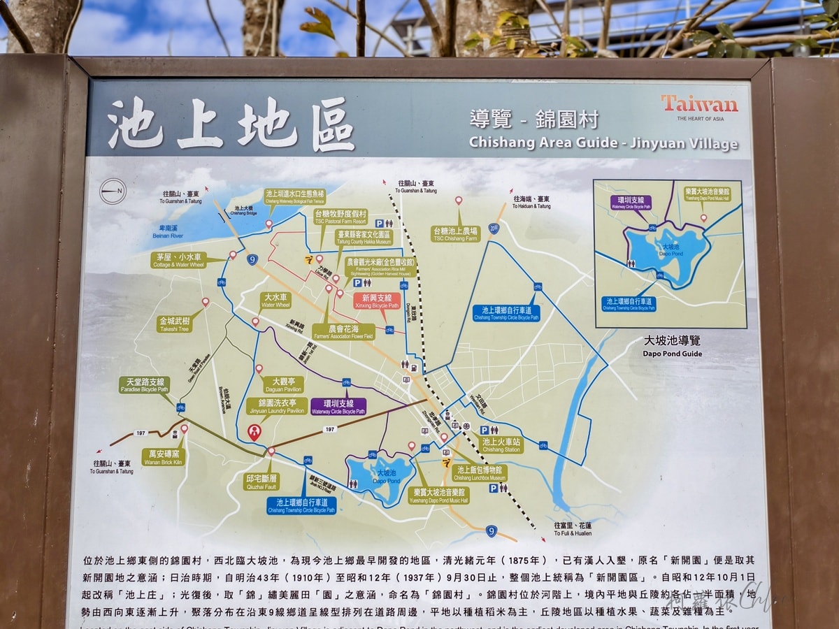 台東池上親子景點推薦｜伯朗大道騎電動車路線 金城武樹 天堂路 洗衣亭必拍攻略