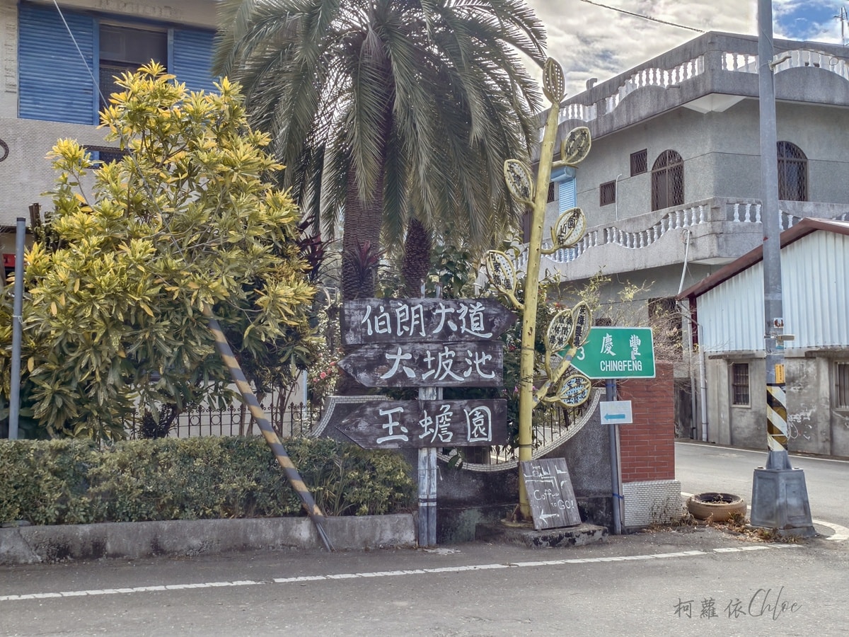 台東池上親子景點推薦｜伯朗大道騎電動車路線 金城武樹 天堂路 洗衣亭必拍攻略