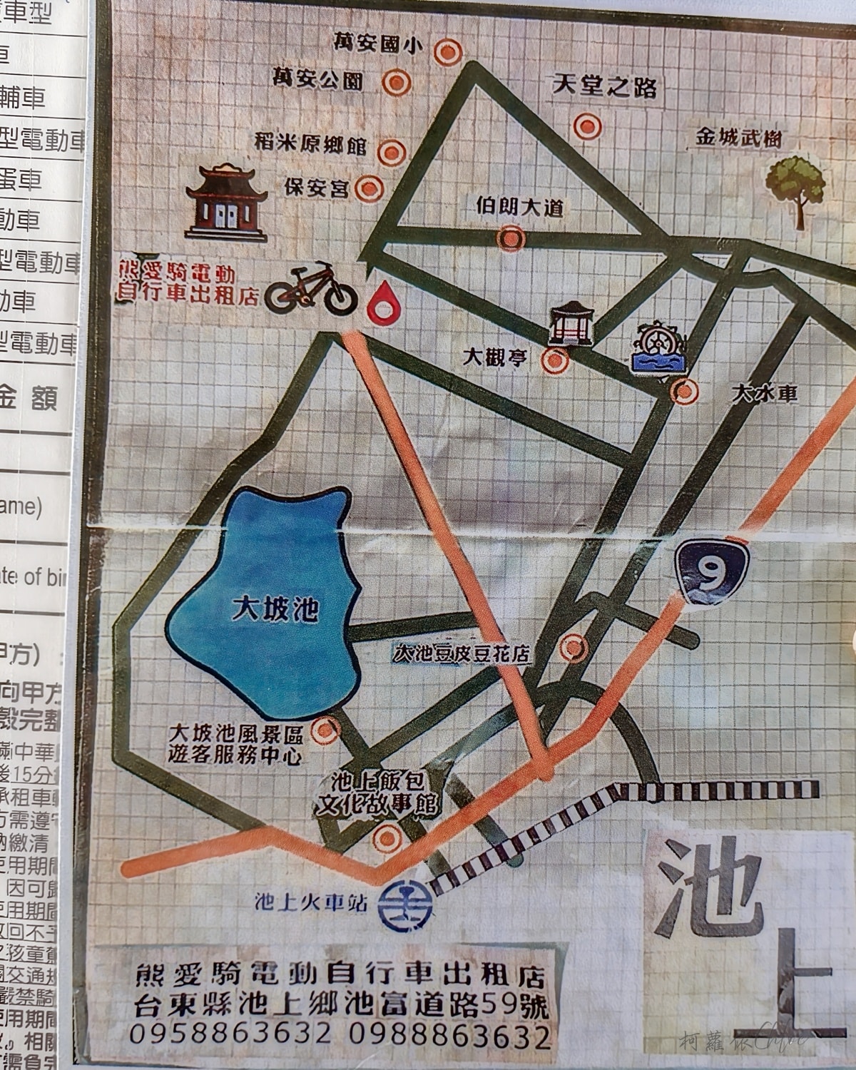 台東池上親子景點推薦｜伯朗大道騎電動車路線 金城武樹 天堂路 洗衣亭必拍攻略