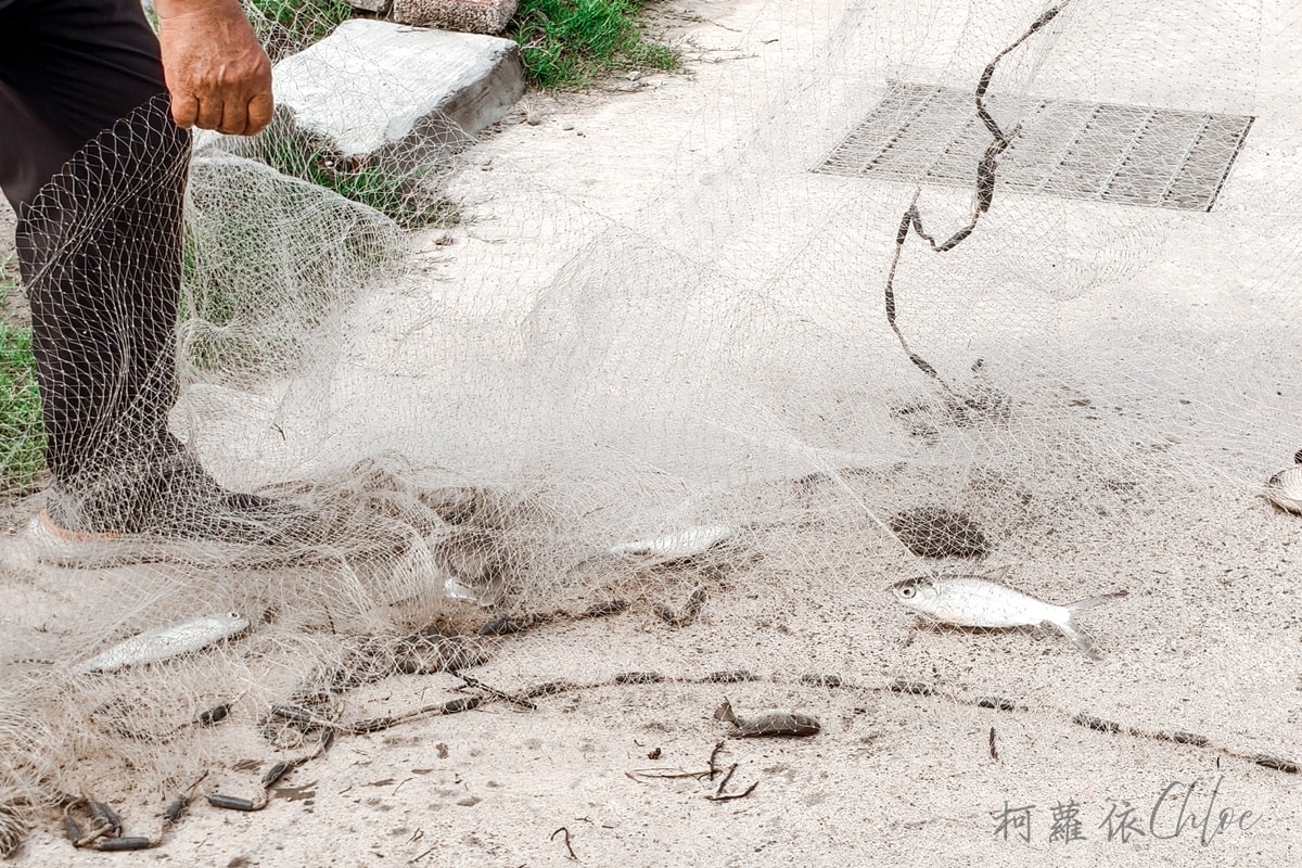 台南安南區景點｜媽祖宮九塊厝生態園區 虱目魚體驗 第一次穿青蛙裝下魚塭 一日漁夫寓教於樂