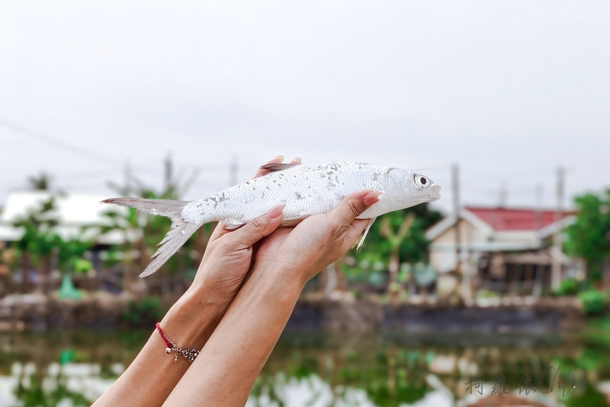 台南安南區景點｜媽祖宮九塊厝生態園區 虱目魚體驗 第一次穿青蛙裝下魚塭 一日漁夫寓教於樂