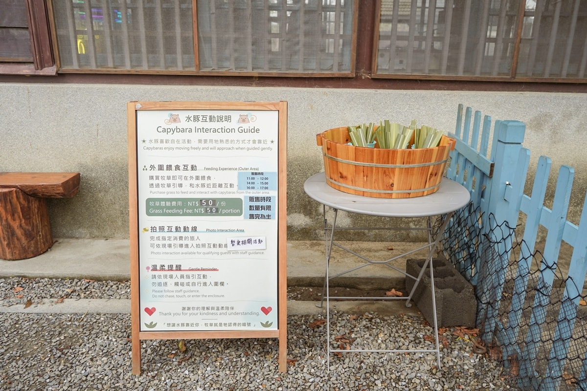 台南安平一日遊景點｜安平出張所看水豚 生日鹽御守DIY 免費景點推薦