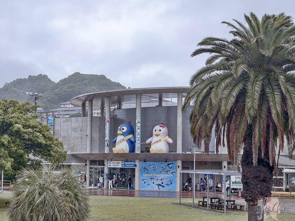 長崎企鵝水族館｜走進企鵝的世界 全日本企鵝種類最多的水族館  雨天也很適合的親子景點