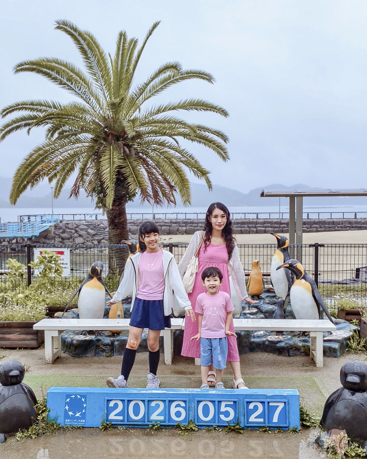長崎企鵝水族館｜走進企鵝的世界 全日本企鵝種類最多的水族館  雨天也很適合的親子景點